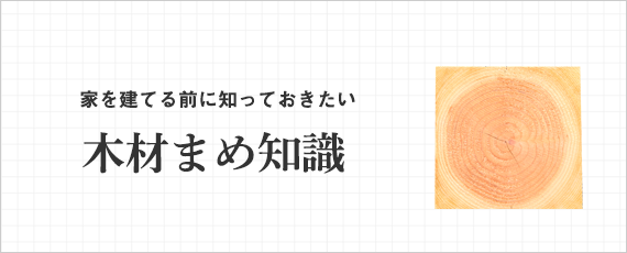 木材まめ知識