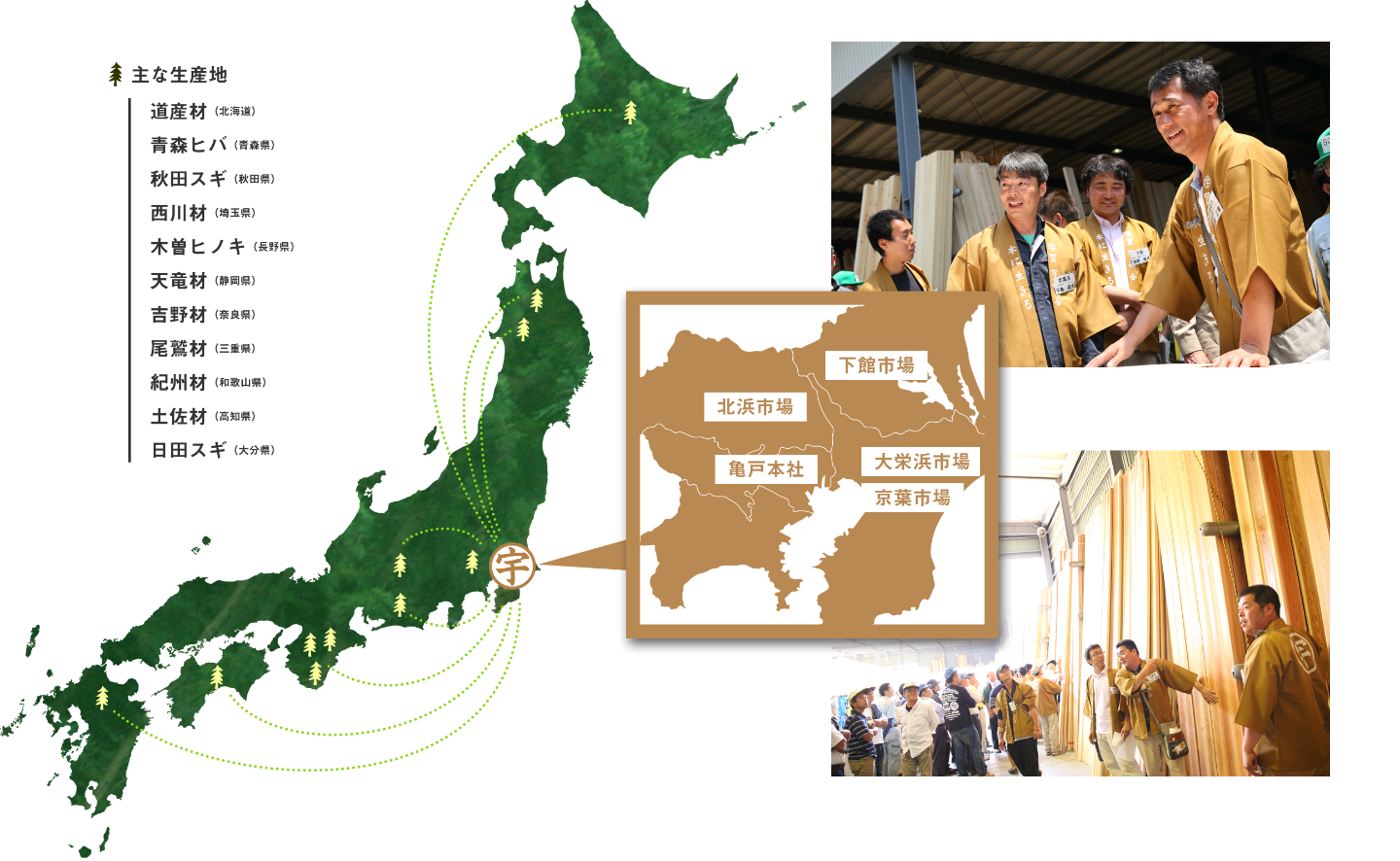 生産地と市場の豊富な情報と分析で、”木を生かす”最適な流通を実現